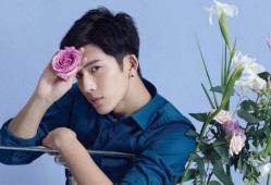 井柏然最新爆料,幕后故事与心路历程