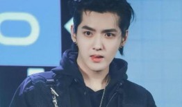 明星最新爆料吴亦凡,揭秘娱乐圈背后的惊人真相